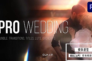 【PR模板】浪漫优雅爱情婚礼视频文字标题转场叠加调色效果 Pro Wedding Bundle for Premiere Pro& Transitions, Titles, LUTs, Overlays