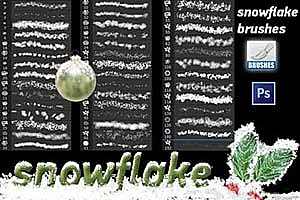 PS笔刷 | 超唯美雪花笔刷合集,氛围搞起来!
