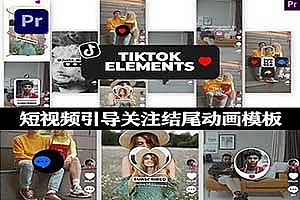 PR模板|抖音TikTok短视频引导关注效果结尾动画模板