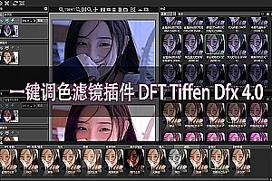专业一键调色滤镜插件 DFT Tiffen Dfx 4.08 Win汉化版 内置上千种调色特效