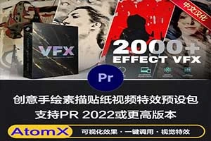 PR脚本|2000组个性化艺术手绘素描水彩贴纸视频创意特效调色预设包 Effects Pro