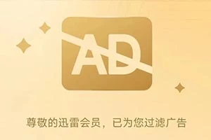 迅雷破解版,已解锁永久SVIP,下载速度狂飙40MB/S!!