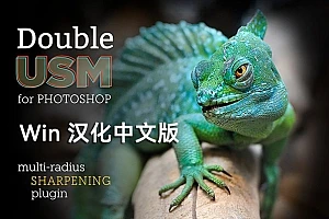 【004期】双USM 锐化扩展面板 Double USM 2 汉化版 – PS最好用的锐化插件