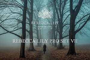 【LR预设】55款复古怀旧电影胶片渐晕颗粒情绪摄影纪录人文后期调色Lightroom预设 Rebecca Lily Pro Set VII