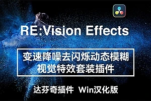 【达芬奇插件】慢动作降噪去闪动态模糊视觉套装插件 RE:VisionFX Effections OFX v25.8 Win汉化中文版