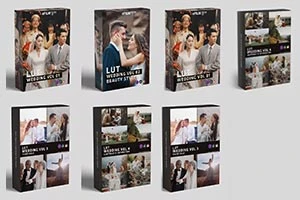 7套达芬奇婚礼视频调色LUTs+DCTL节点预设 Colorwheelstore – Combo Wedding Lut Pack