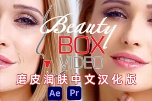 中文汉化-Beauty Box Video 6.0.2 Win AE/PR磨皮润肤美容皮肤修饰插件